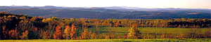 Dexter Mountain Estates