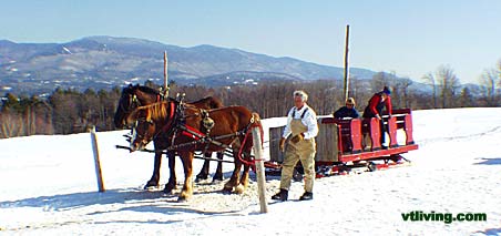 horseandsleigh