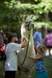 VT Llama treks