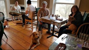 Dog friendly breakfast at Paw House Inn Vermont