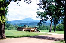 Shelburne Farms hay carriage