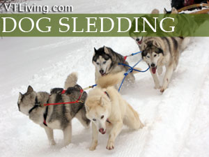 vt dog sledding