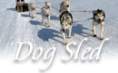 Vermont dog sled tours