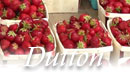 Duttons Berry Farm vermont farm stand