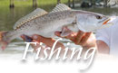 Stowe Mad River Valley VT Fishing