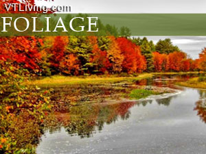 Vt fall foliage report 2015