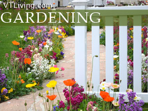 Vermont Gardening herb gardens indoor gardens vt gardening tricks