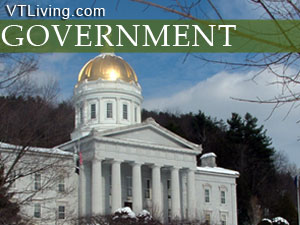 VT Government 