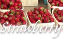 Vermont PYO Strawberries