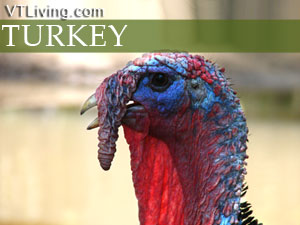 turkey roasting tips, thanksgiving preparations
