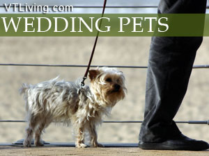 Including your beloved pets in wedding ceremonies