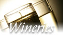 Vermont wineries,vermont wines,winemakers, Vermont wine, VT Vineyards
