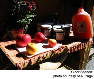 Vermont Apple Cider Season PYO Apples 
