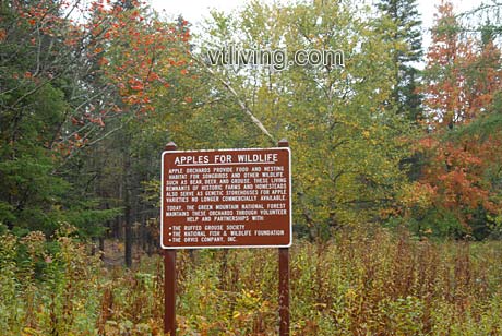 apples-for-wildlife