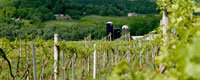 Boyden Valley Winery, Cambrindge Vermont attraction, wine tours, wine tastings