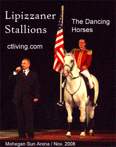 Lippizaner Stallions, Lipizzaner Stallions