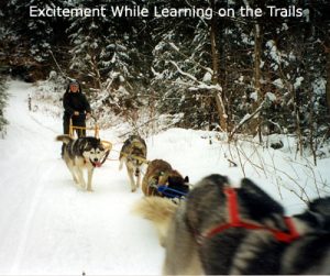 Vermont Dog Sled Tours