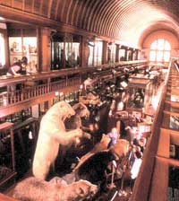 Interior of the Fairbanks Museum and Planetarium in St. Johnsbury VT