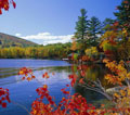 western vermont foliage