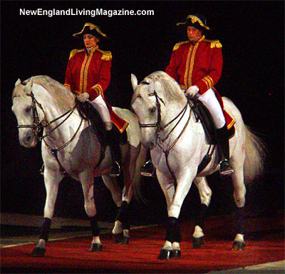 Lipizzaner Stallions, Lipizaner Stallions