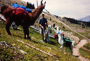 Vermont Llama Vacations