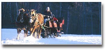 horse-drawn sleigh rides at The Mountain Top Inn & Resort - Chittenden, VT