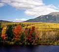 green mountain foliage