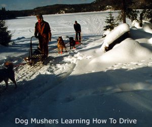 vermont mushers