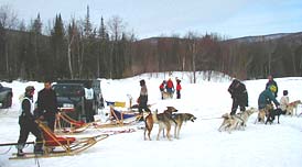 dog sled races vermont