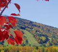 vt ski mountain foliage