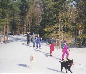 Vermont Snowshoeing Vacations, Vermont vacation ideas, Vermont vacation activities