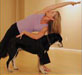 pet exercise classes