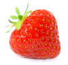 Vermont Strawberries