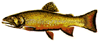 trout