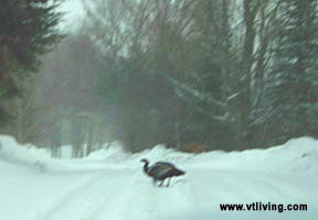 Vermont hunters, Vermont hunting camp, Vermont hunting photo