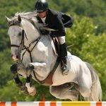 Vermont Summer Festival Horse Show