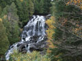 stowe area foliage