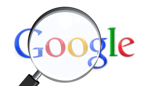 Google VT Living Site Search