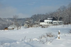Sugarbush Farm is located a short drive from Billing's Farm and offers Vermont cheese and other products.