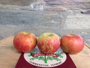 Scott Farm Orchard Organic Apples