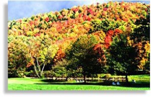 early fall foliage vacations in Vermont