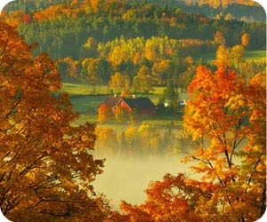 VT Fall Foliage Vacations