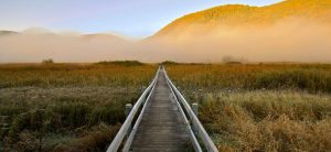 West Rutland Vermont Marsh