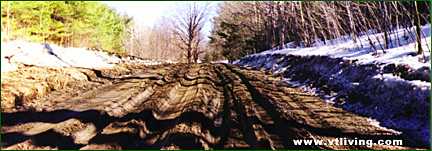 VT Mud Season
