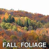 VT Fall Foliage Vacations