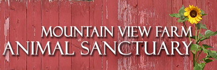 Mountain View Farm Animal Sanctuary