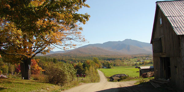 Barns