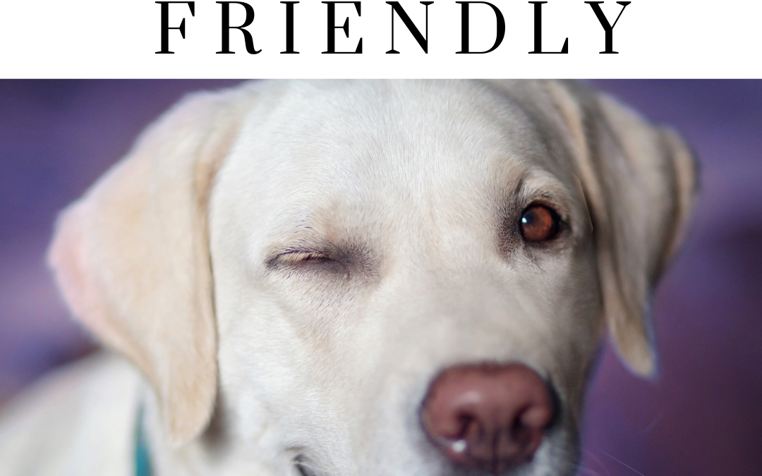 VT Pet-Friendly Inns