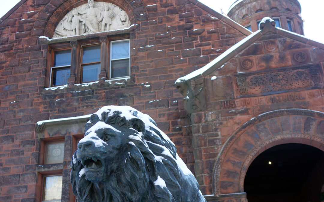 Fairbanks Museum
