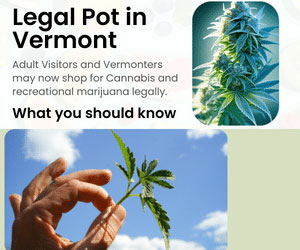 Legal Pot in Vermont Cannabis Stores Laws 